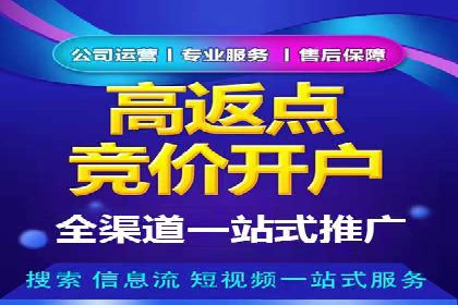 百度广告竞价效果评估：某知名品牌的投放效果分析